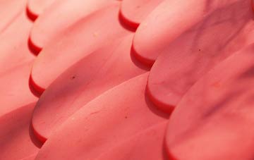 Castle Bolton plastic roof costs