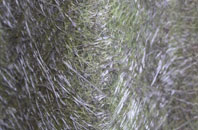 Castle Bolton fibreglass roof work